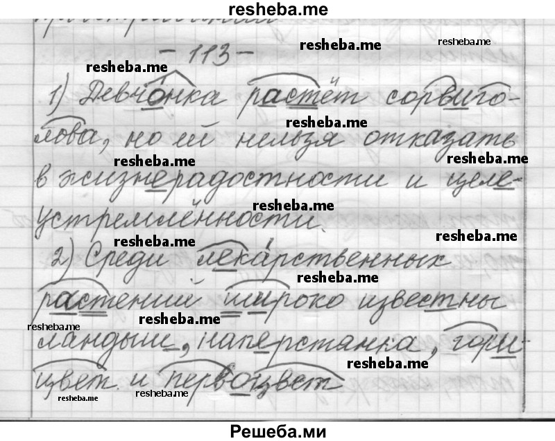     ГДЗ (Решебник) по
    русскому языку    6 класс
                Шмелев А.Д.
     /        глава 3 / 113
    (продолжение 2)
    