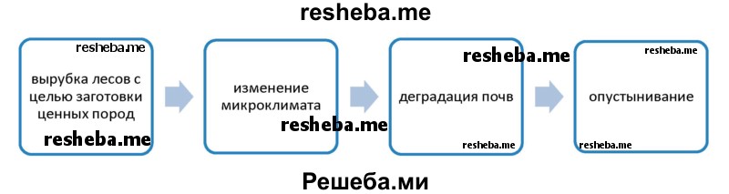 Продолжите цепочку изменений в природном комплексе, которые произойдут в результате уничтожения лесов с целью заготовки ценных пород деревьев на экспорт