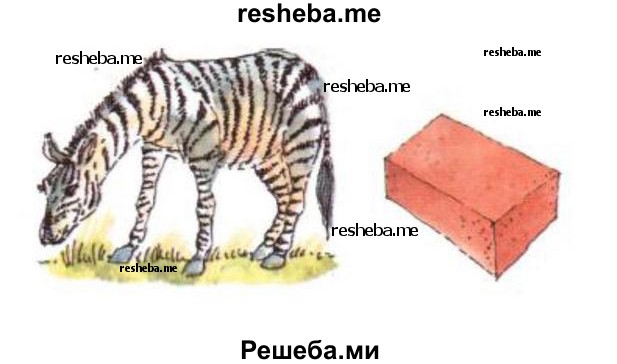 Какие знаки дорожного движения напоминают тебе эти рисунки?