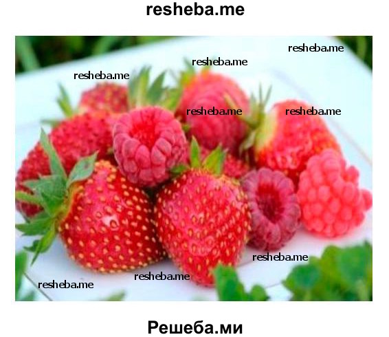 Нарисуй разные плоды и ягоды. Расскажи, какие фрукты, ягоды, орехи ты любишь?