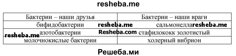 Заполни таблицу «Бактерии – друзья и враги»