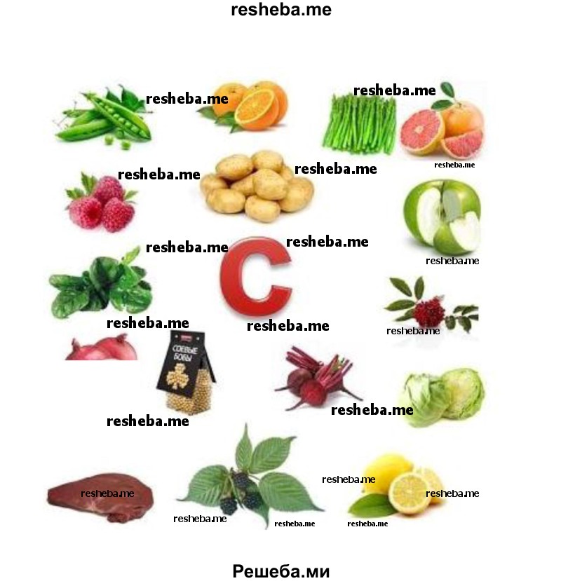 Нарисуй овощи и фрукты, в которых много витамина С