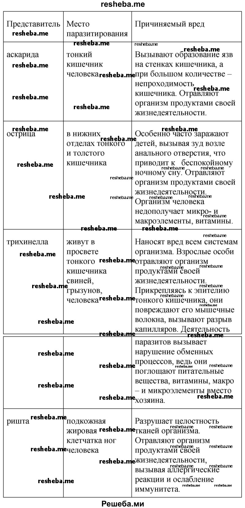 Заполните таблицу «Круглые черви – паразиты животных и человека»