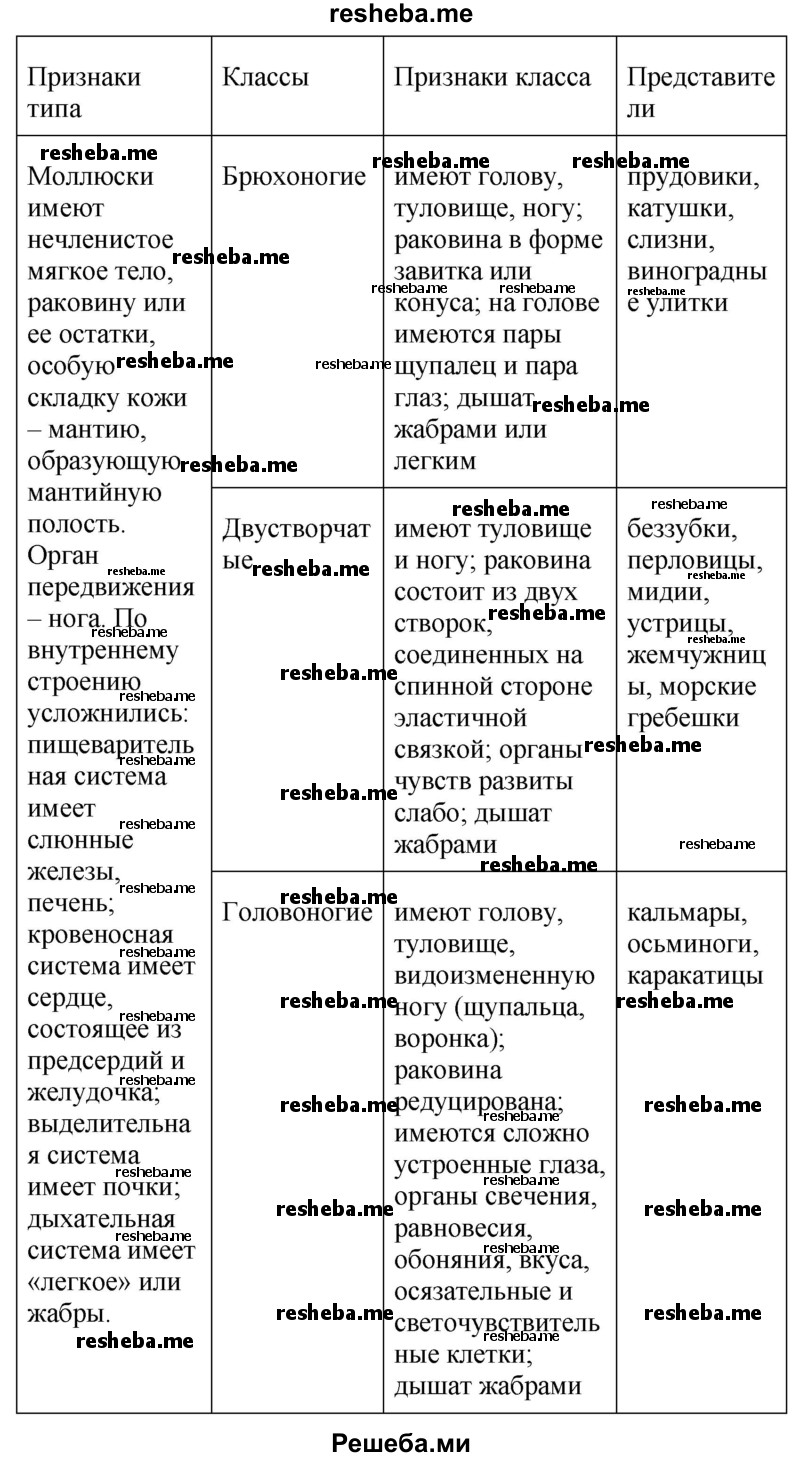 Заполните таблицу «Тип моллюски»