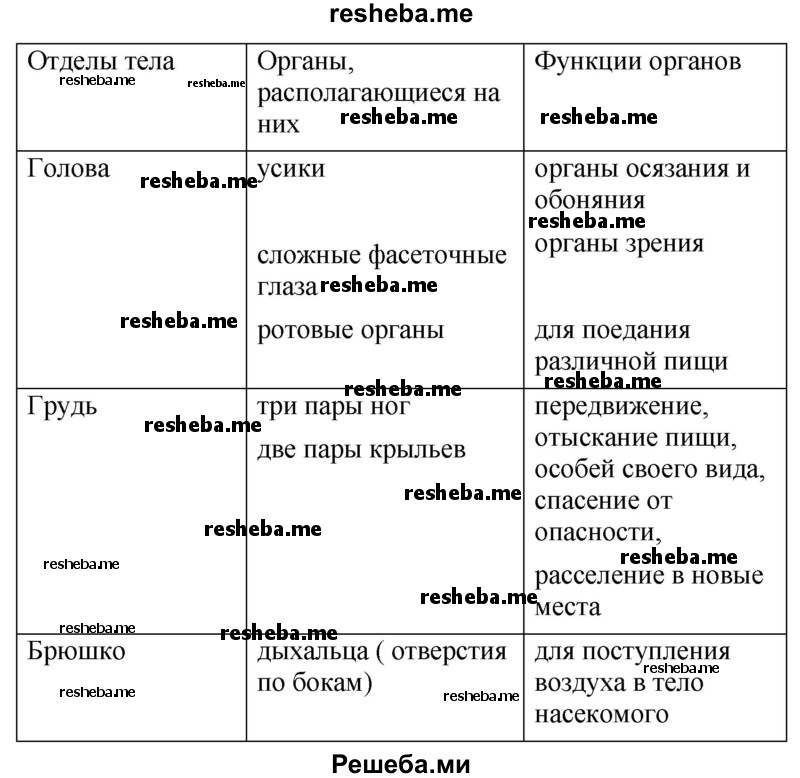 Заполните таблицу «Внешнее строение насекомого»