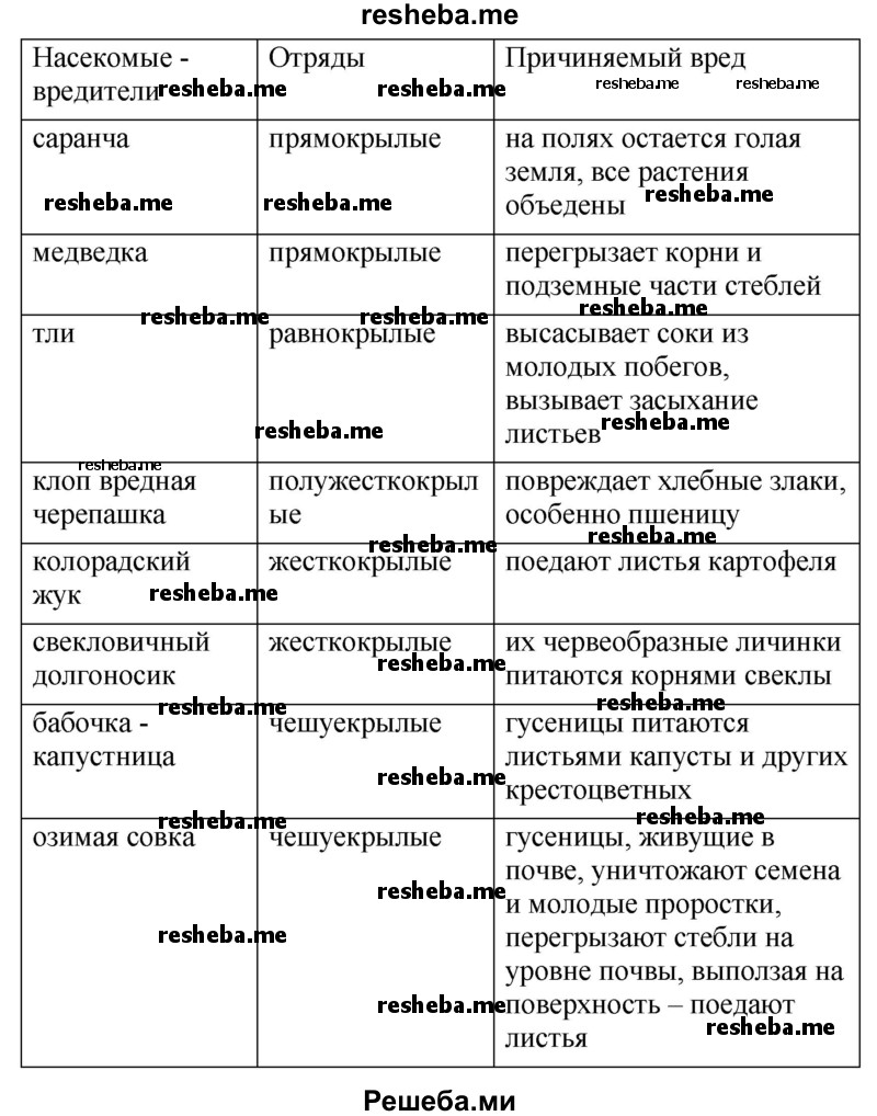 Насекомые — вредители поля и огорода