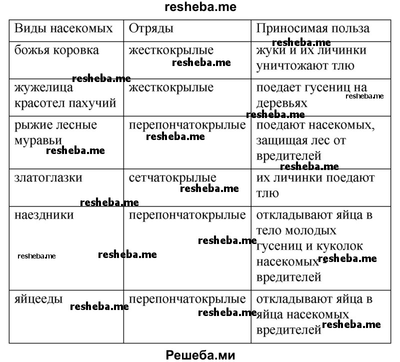 Заполненная таблица насекомых