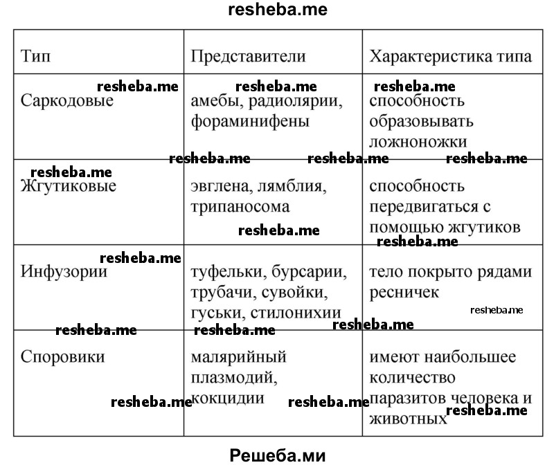 Заполните таблицу «Основные типы простейших»