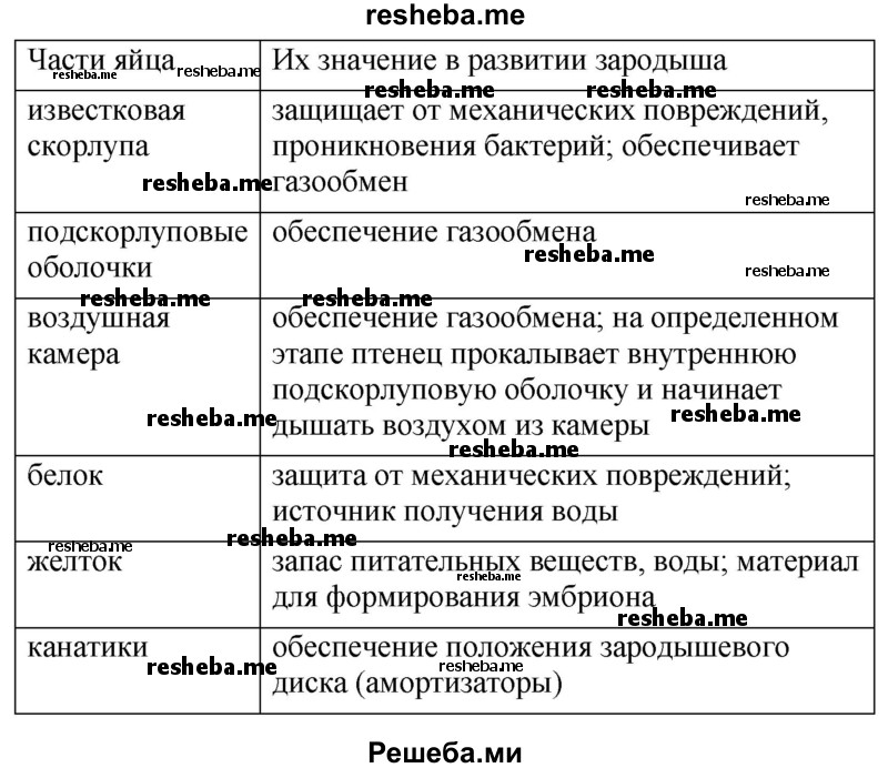 Заполните таблицу «Строение куриного яйца»