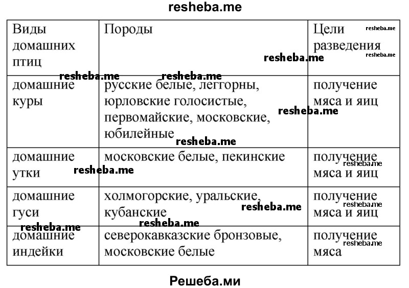 Заполните таблицу «Домашние птицы»