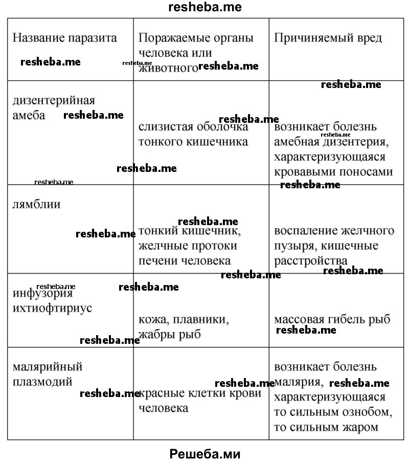 Фото Простейших 7 Класс Биология