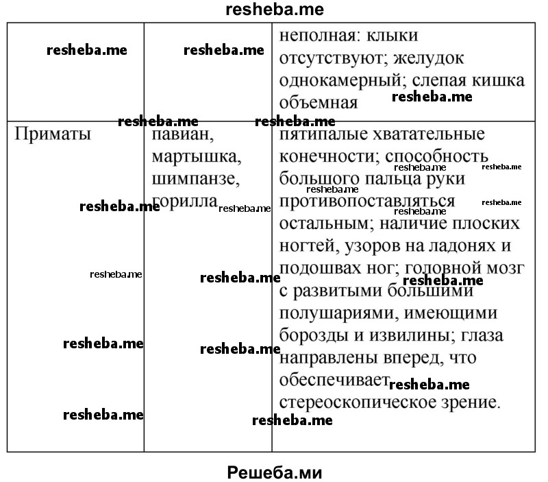 Заполните таблицу «Основные отряды млекопитающих»