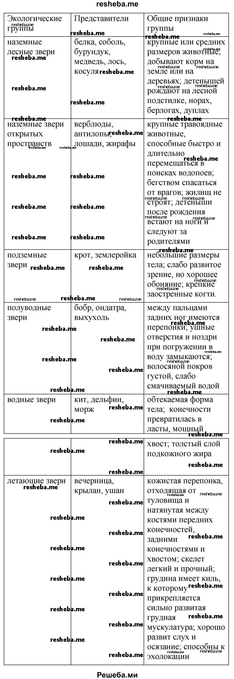 Экологические группы млекопитающих