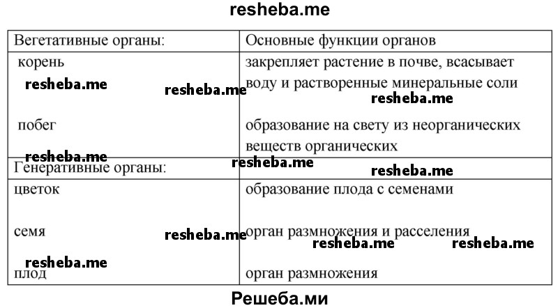 Перечертите в тетрадь и заполните таблицу