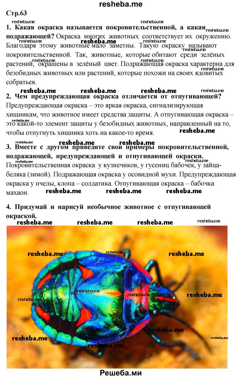     ГДЗ (Решебник 2014) по
    окружающему миру    4 класс
                Г.Г. Ивченкова
     /        часть 1. страница / 63
    (продолжение 2)
    