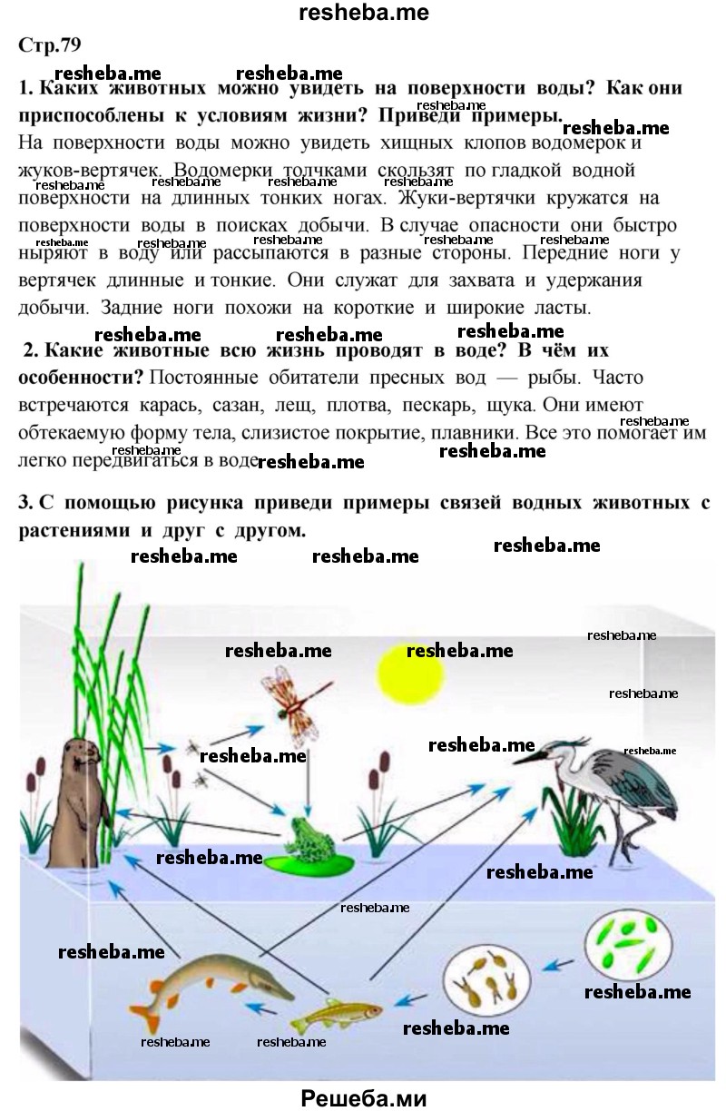     ГДЗ (Решебник 2014) по
    окружающему миру    4 класс
                Г.Г. Ивченкова
     /        часть 1. страница / 79
    (продолжение 2)
    