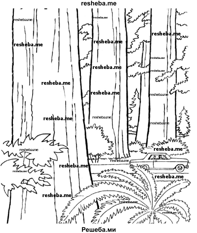 Нарисуйте пейзаж, изображающий лес, который описан в тексте