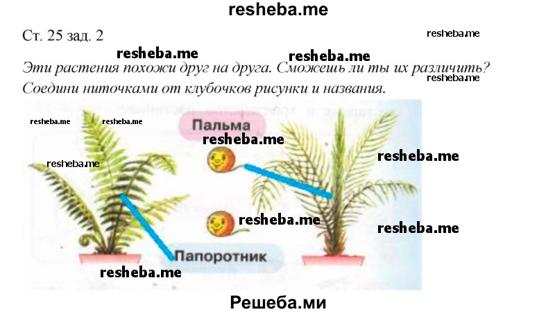     ГДЗ (Решебник 2016) по
    окружающему миру    1 класс
            (рабочая тетрадь)            Плешаков А. А.
     /        часть 1. страница / 25
    (продолжение 2)
    