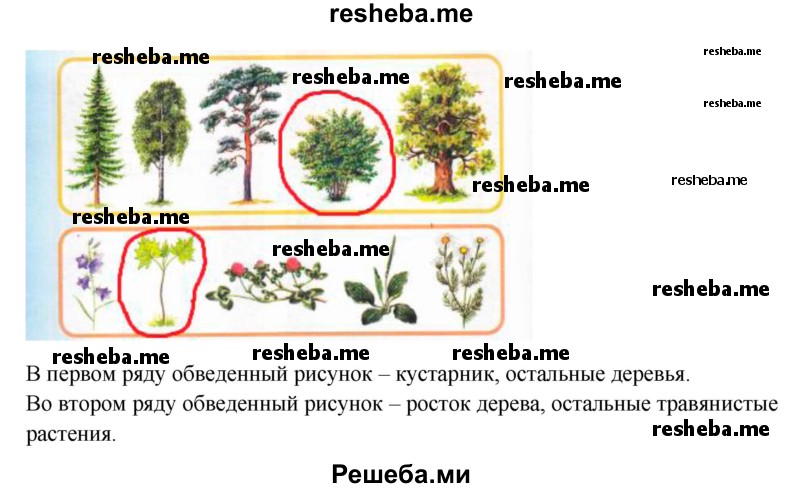     ГДЗ (Решебник 2016) по
    окружающему миру    1 класс
            (рабочая тетрадь)            Плешаков А. А.
     /        часть 1. страница / 26
    (продолжение 3)
    