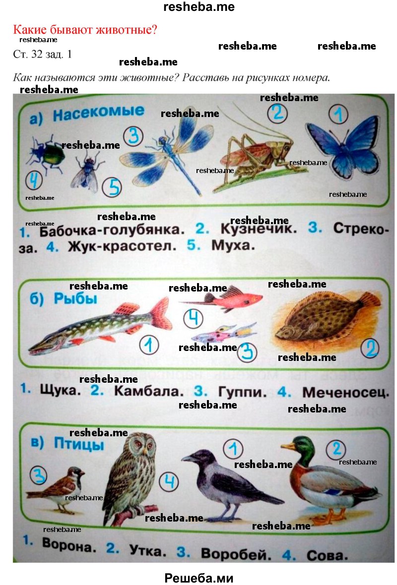     ГДЗ (Решебник 2016) по
    окружающему миру    1 класс
            (рабочая тетрадь)            Плешаков А. А.
     /        часть 1. страница / 32
    (продолжение 2)
    