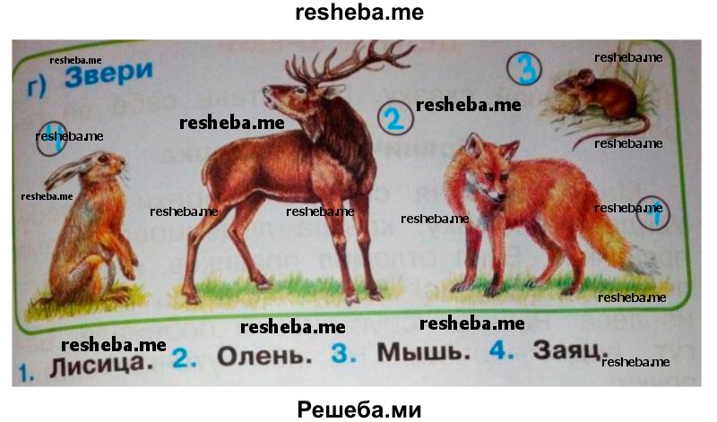     ГДЗ (Решебник 2016) по
    окружающему миру    1 класс
            (рабочая тетрадь)            Плешаков А. А.
     /        часть 1. страница / 32
    (продолжение 3)
    