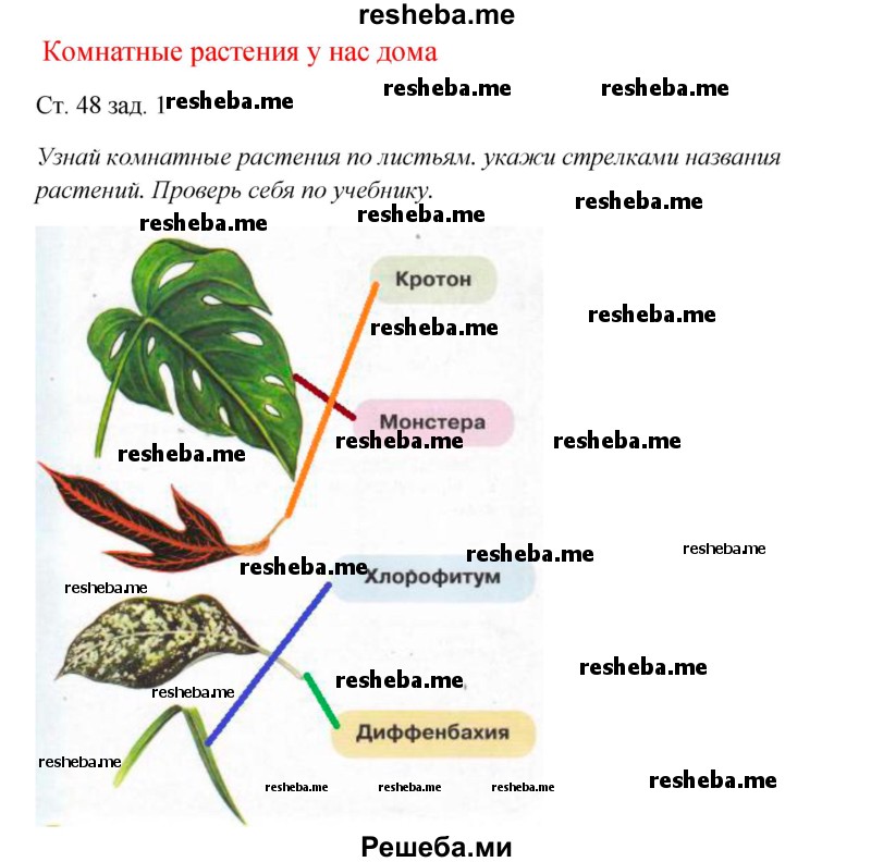     ГДЗ (Решебник 2016) по
    окружающему миру    1 класс
            (рабочая тетрадь)            Плешаков А. А.
     /        часть 1. страница / 48
    (продолжение 2)
    