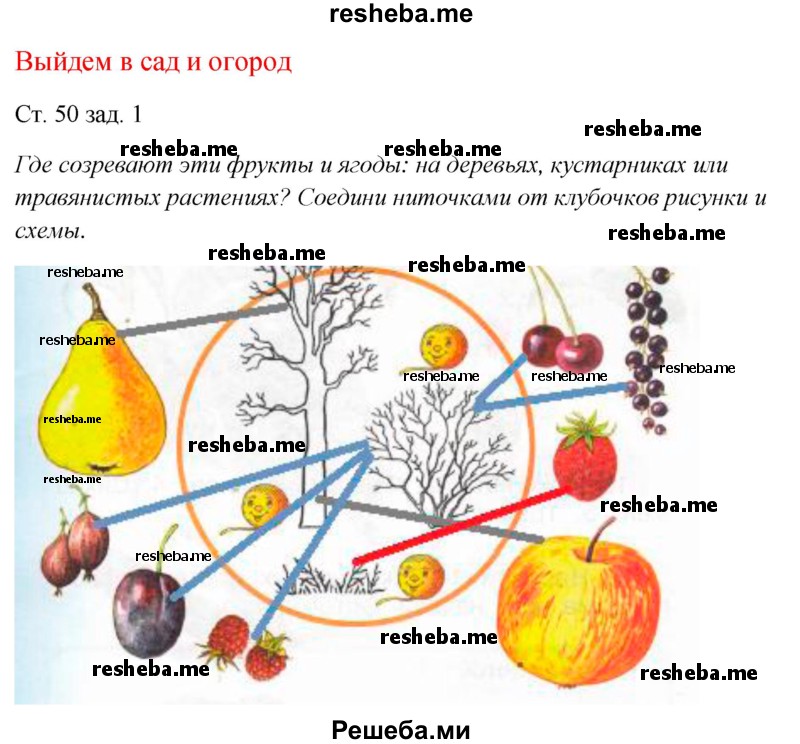     ГДЗ (Решебник 2016) по
    окружающему миру    1 класс
            (рабочая тетрадь)            Плешаков А. А.
     /        часть 1. страница / 50
    (продолжение 2)
    