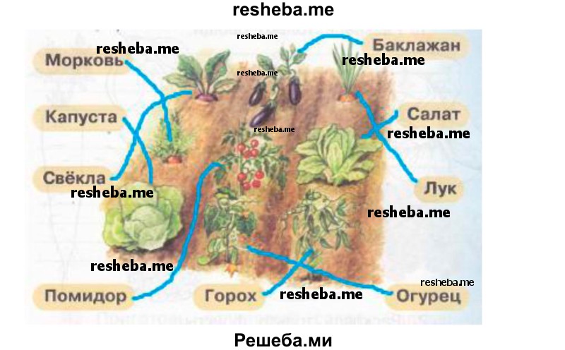     ГДЗ (Решебник 2016) по
    окружающему миру    1 класс
            (рабочая тетрадь)            Плешаков А. А.
     /        часть 1. страница / 51
    (продолжение 3)
    