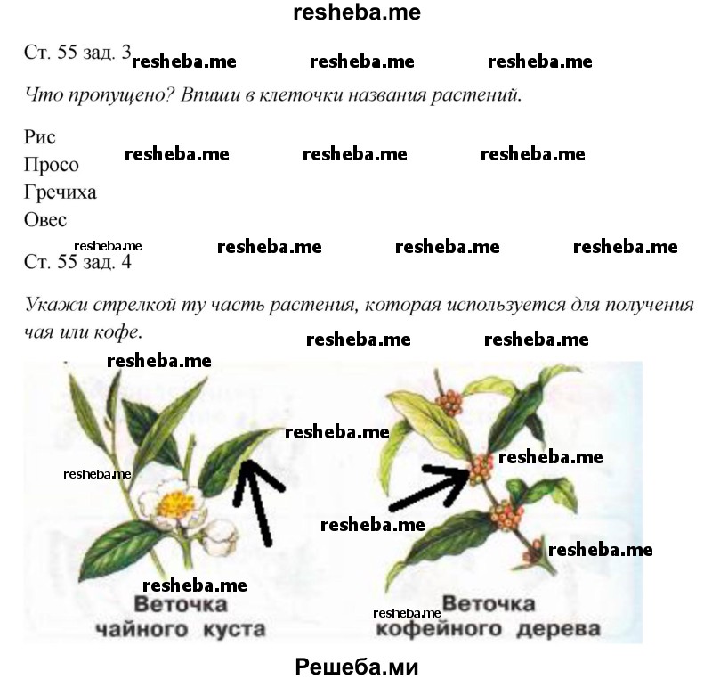    ГДЗ (Решебник 2016) по
    окружающему миру    1 класс
            (рабочая тетрадь)            Плешаков А. А.
     /        часть 1. страница / 55
    (продолжение 2)
    