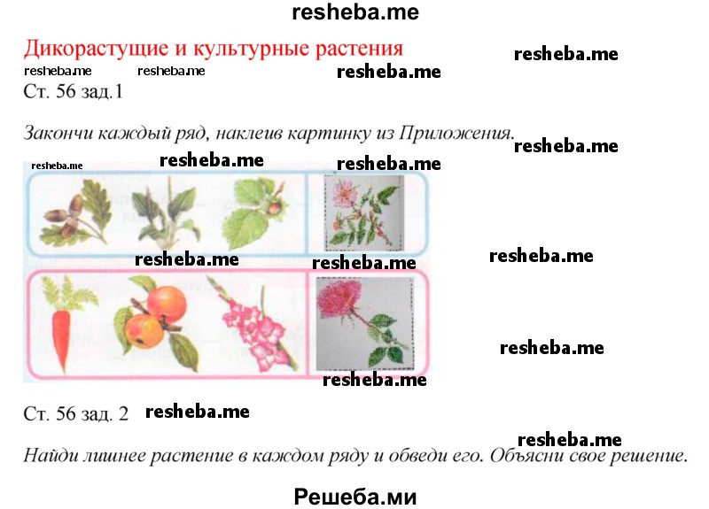     ГДЗ (Решебник 2016) по
    окружающему миру    1 класс
            (рабочая тетрадь)            Плешаков А. А.
     /        часть 1. страница / 56
    (продолжение 2)
    