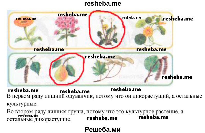     ГДЗ (Решебник 2016) по
    окружающему миру    1 класс
            (рабочая тетрадь)            Плешаков А. А.
     /        часть 1. страница / 56
    (продолжение 3)
    