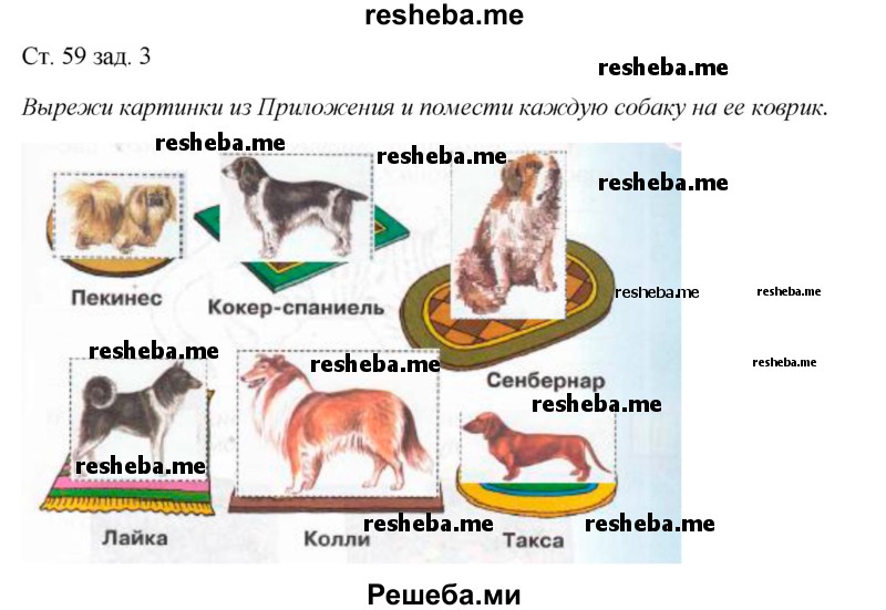     ГДЗ (Решебник 2016) по
    окружающему миру    1 класс
            (рабочая тетрадь)            Плешаков А. А.
     /        часть 1. страница / 59
    (продолжение 2)
    