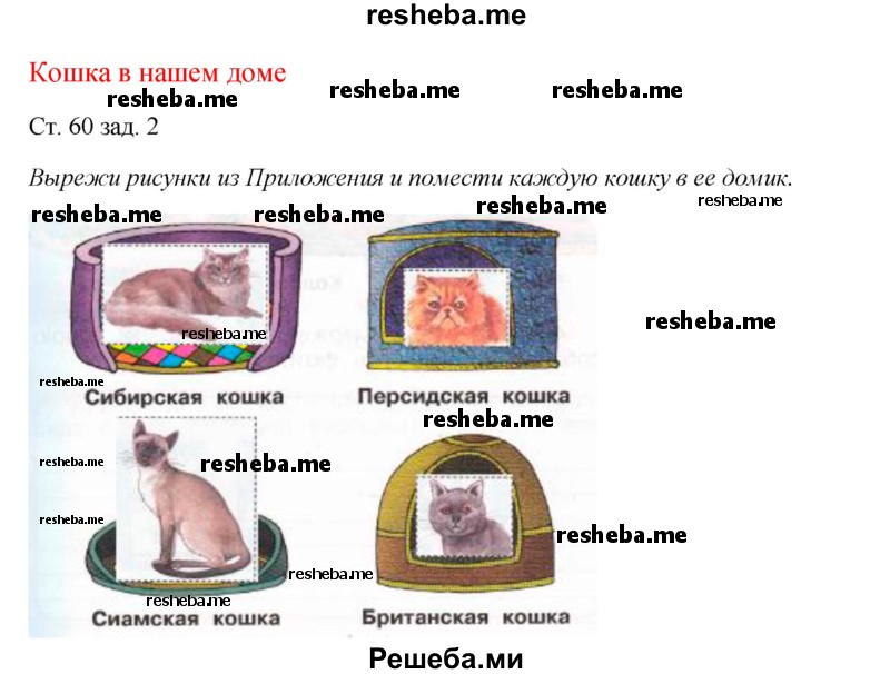     ГДЗ (Решебник 2016) по
    окружающему миру    1 класс
            (рабочая тетрадь)            Плешаков А. А.
     /        часть 1. страница / 60
    (продолжение 2)
    