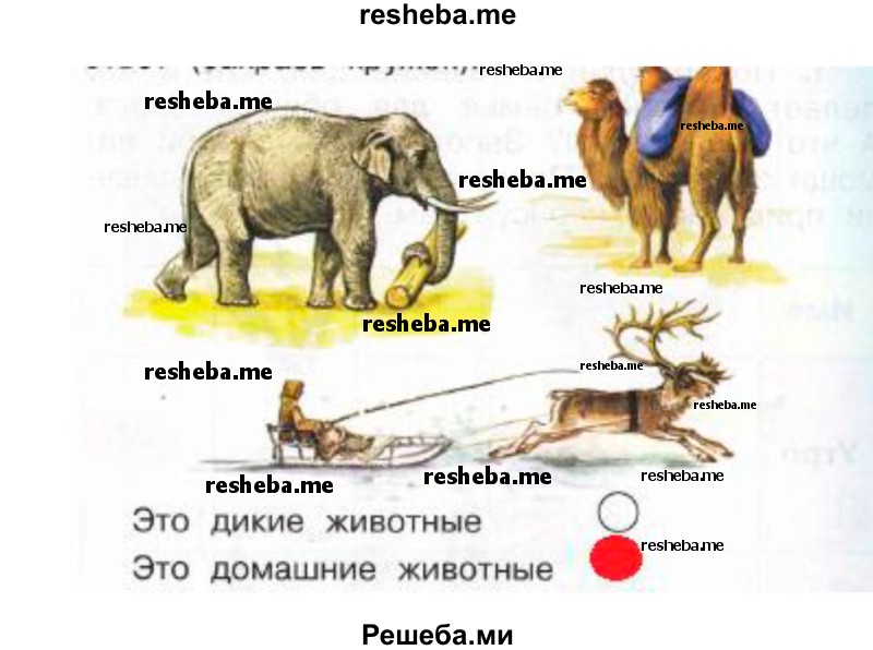     ГДЗ (Решебник 2016) по
    окружающему миру    1 класс
            (рабочая тетрадь)            Плешаков А. А.
     /        часть 1. страница / 65
    (продолжение 3)
    