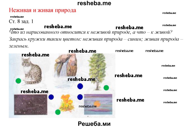     ГДЗ (Решебник 2016) по
    окружающему миру    1 класс
            (рабочая тетрадь)            Плешаков А. А.
     /        часть 1. страница / 8
    (продолжение 2)
    