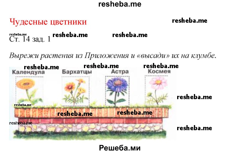     ГДЗ (Решебник 2016) по
    окружающему миру    1 класс
            (рабочая тетрадь)            Плешаков А. А.
     /        часть 2. страница / 14
    (продолжение 2)
    