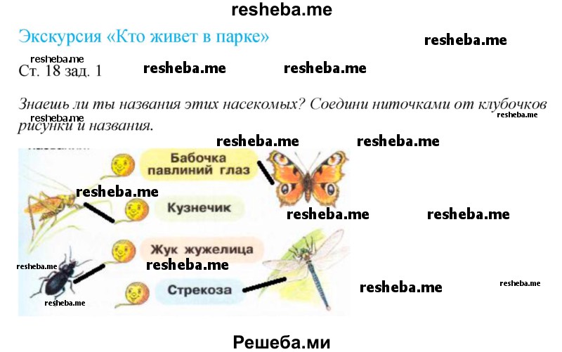     ГДЗ (Решебник 2016) по
    окружающему миру    1 класс
            (рабочая тетрадь)            Плешаков А. А.
     /        часть 2. страница / 18
    (продолжение 2)
    