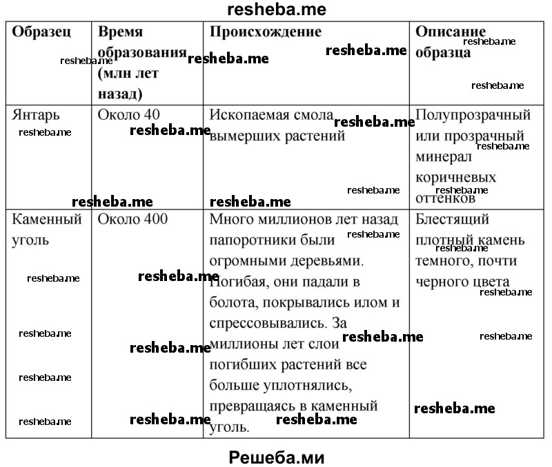 Познакомьтесь со следами древних растений в ходе лабораторной работы