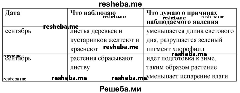 Проведите наблюдение по следующему плану