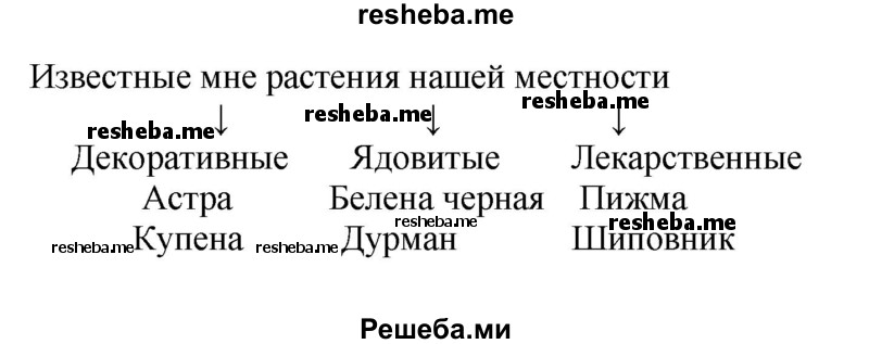 Завершите схему, вписав примеры растений вашей местности