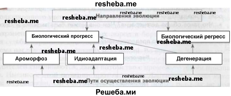 Заполните схему «Заполните схему по предложенному образцу» по предложенному образцу