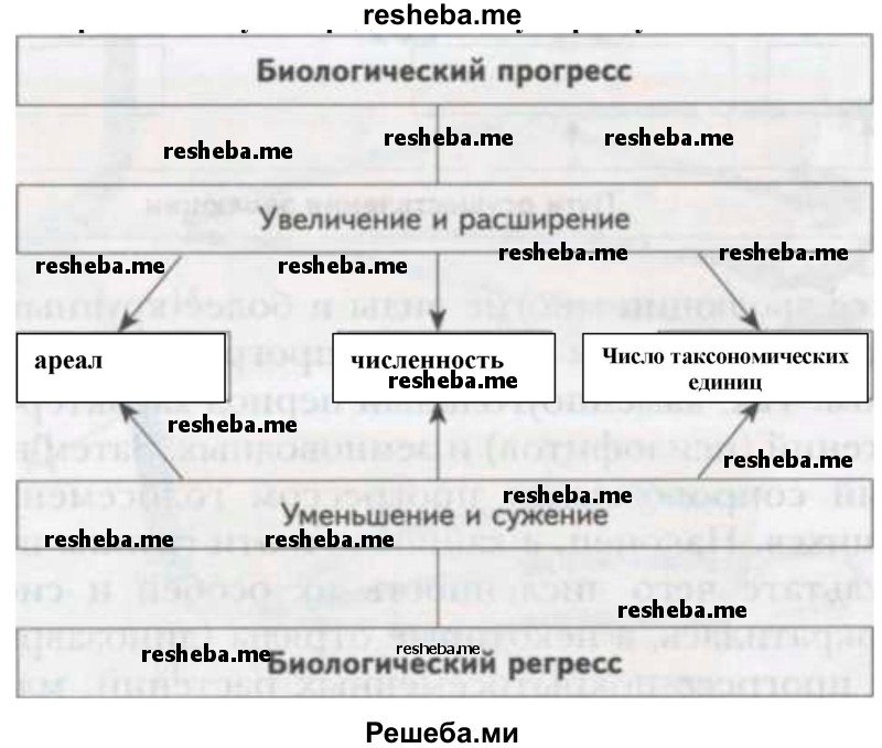 Завершите схему «Биологический прогресс» по предложенному образцу