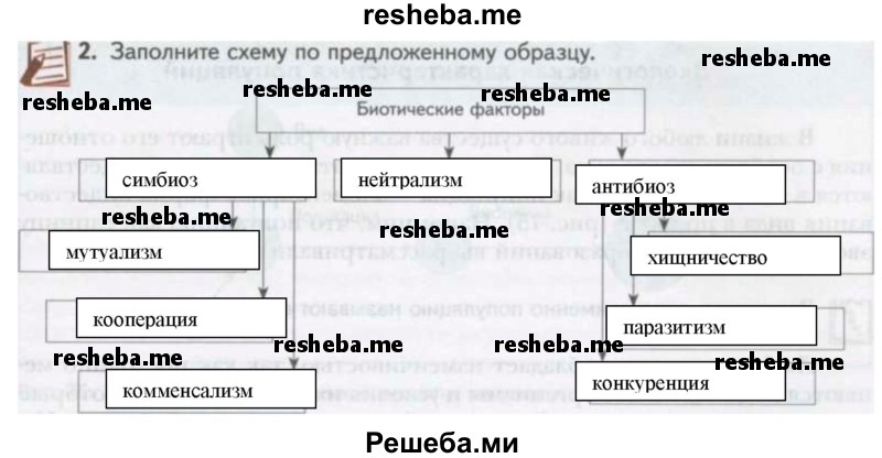 Заполните схему «Биотические факторы» по предложенному образцу