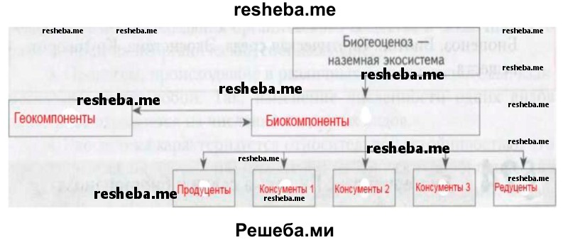 Заполните схему «Биогеоценоз» по предложенному образцу и объясните, что обозначает двойная стрелка