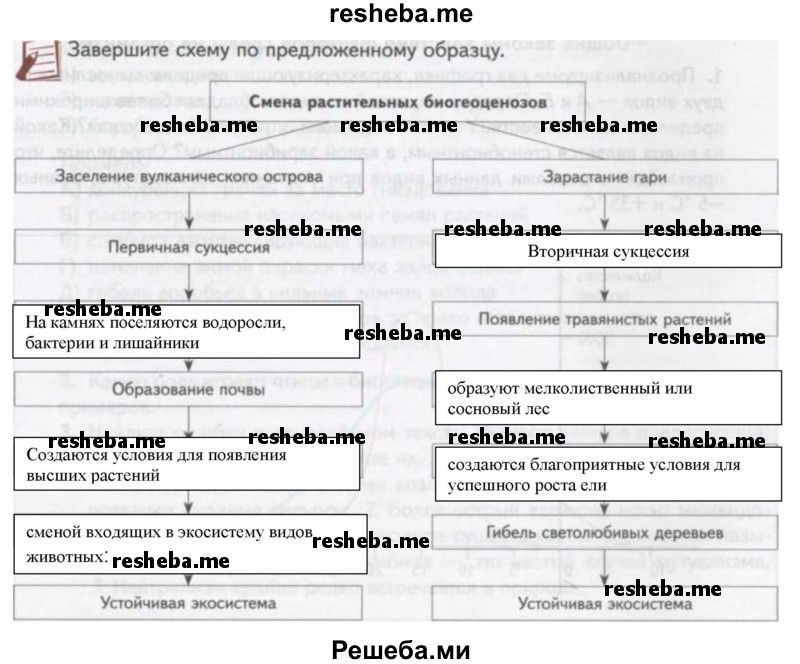 Заполните схему по предложенному образцу