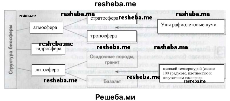 Завершите схему «Структура биосферы» по предложенному образцу