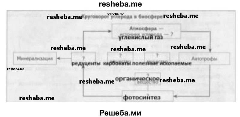 Завершите схему «Круговорот углерода в биосфере»