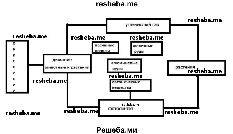 Самостоятельно составьте схему круговорота кислорода в биосфере