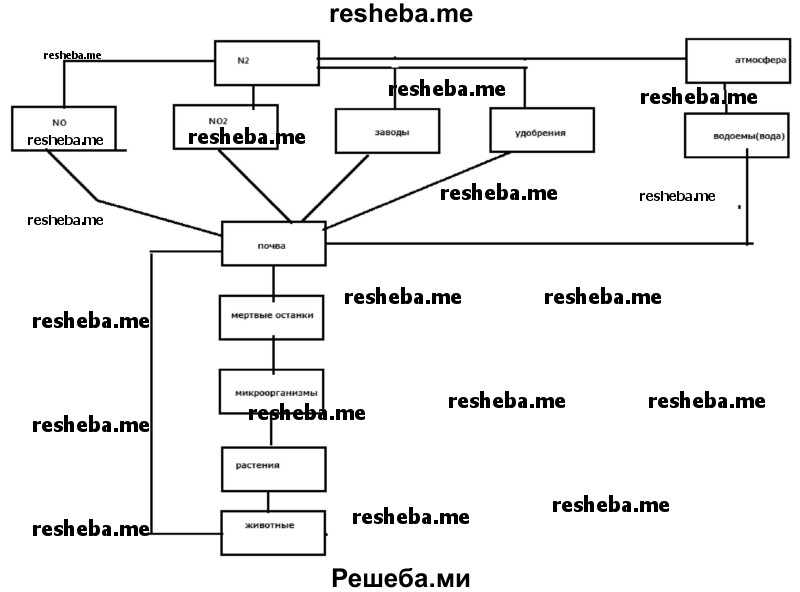 Самостоятельно составьте схему круговорота азота в биосфере