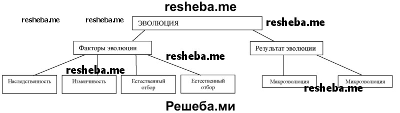 Завершите схему по предложенному образцу «Эволюция»